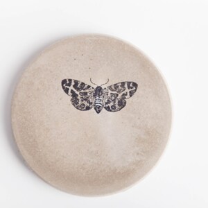 Moth Coasters main image 1