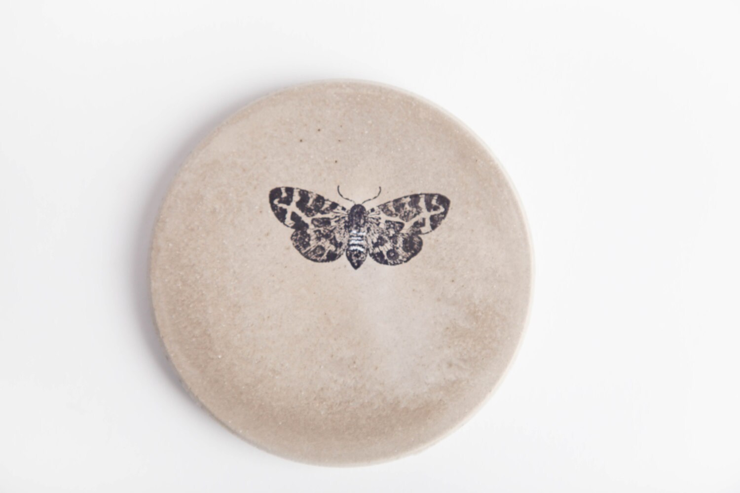 Moth Coasters main image 0