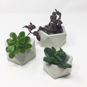 Geometric Concrete Planter, Icosahedron, Concrete Succulent Planter, Modern Concrete Planter, Cement Planter, Mini Planter,Concrete Tealight