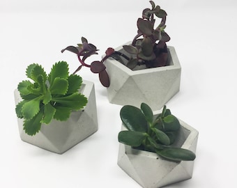 small planters for succulents, mini planter, pot planter, spring decor, gift ideas for men