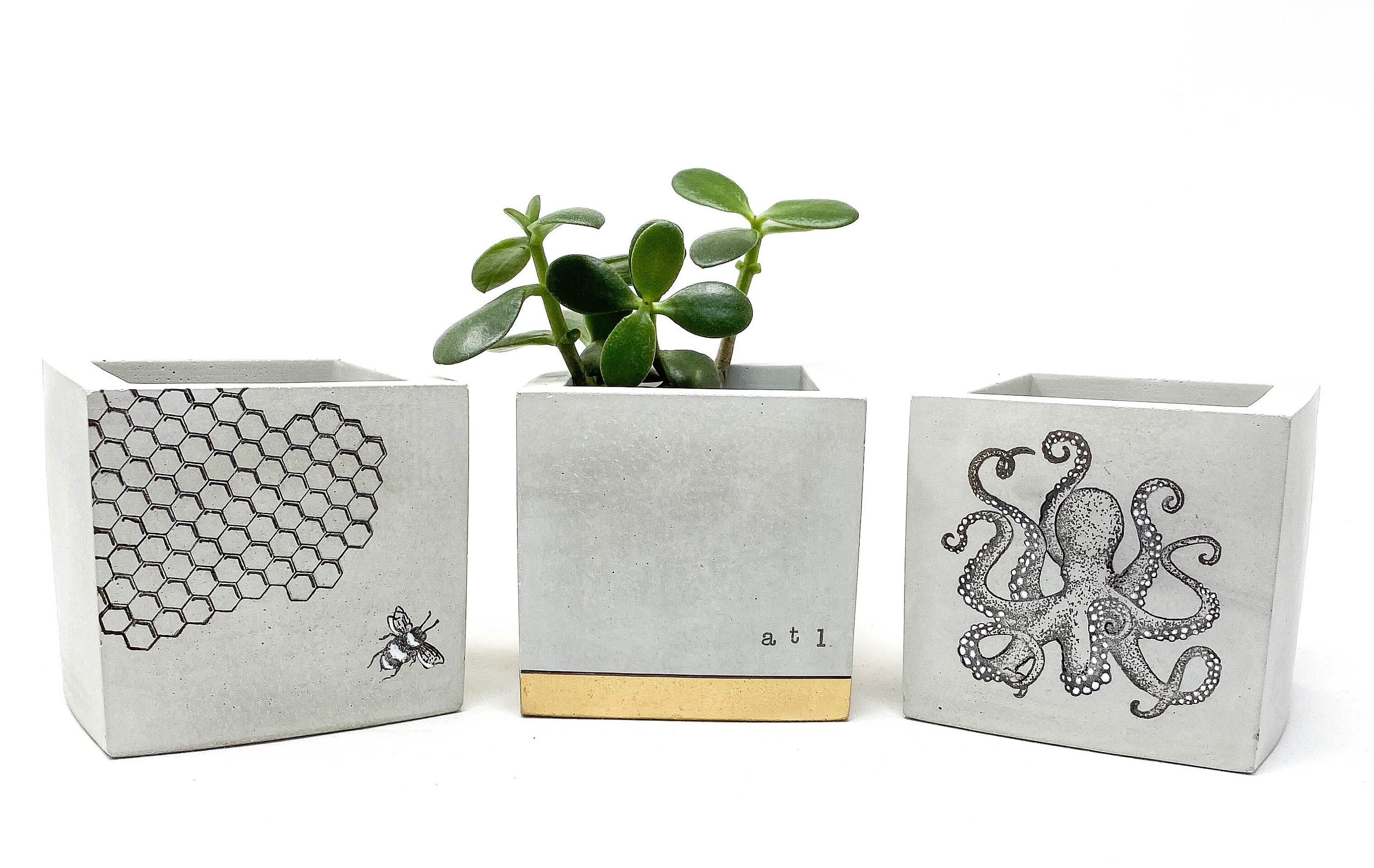 Custom pots for plants