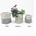 see more listings in the Concrete Planter section