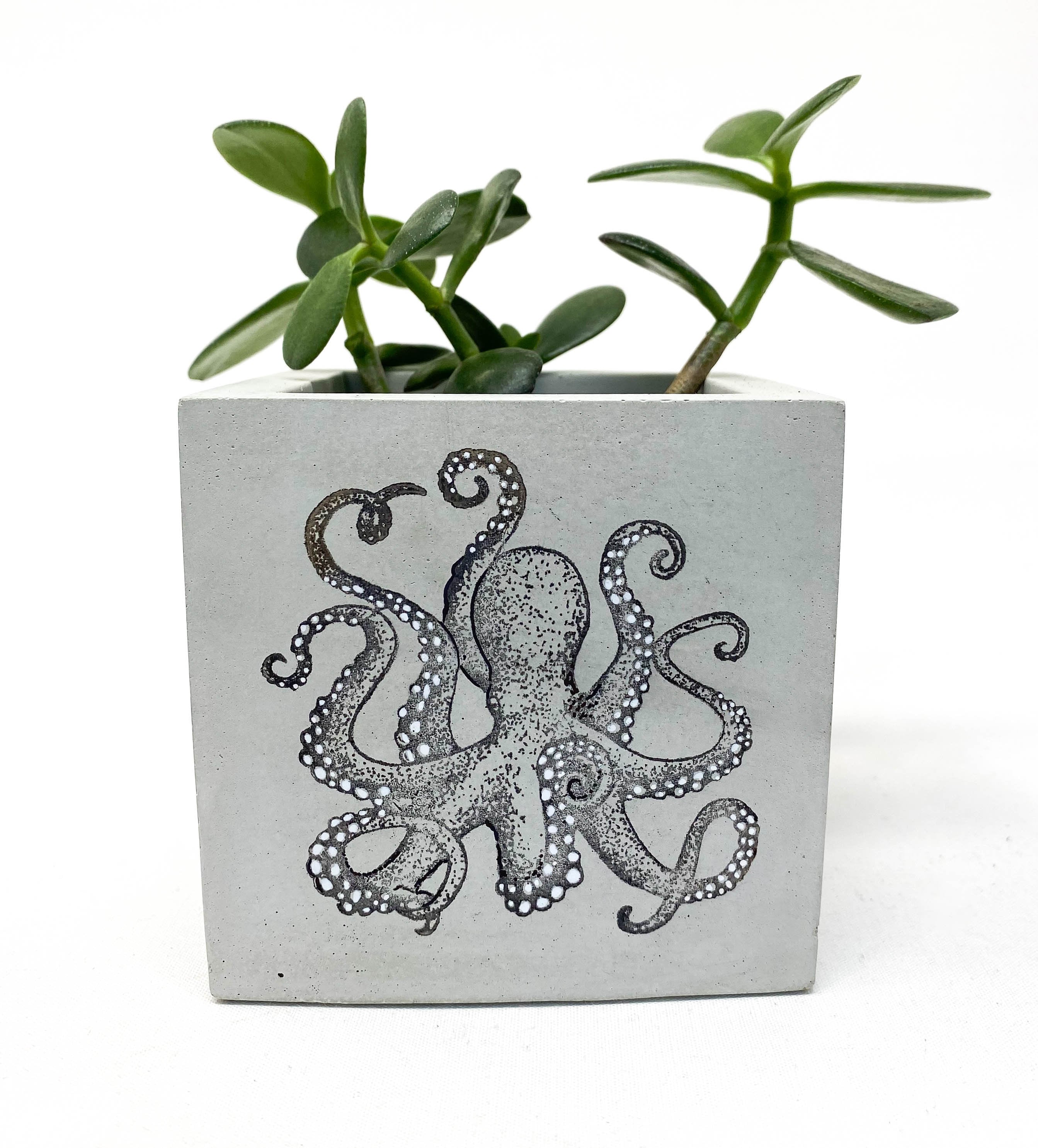 Jardinière en béton, Carré, Cube, Jardinière pieuvre, Jardinière succulente en béton, Jardinière en ciment, Jardinière en béton moderne, Petit pot en