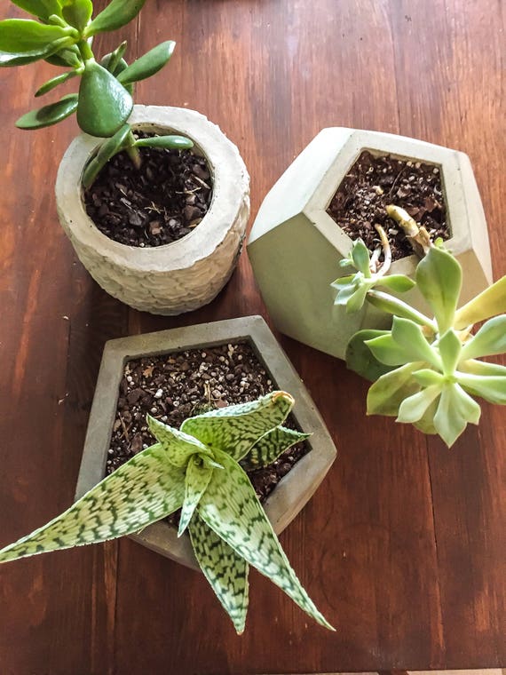 modern plant stand indoor 31.4