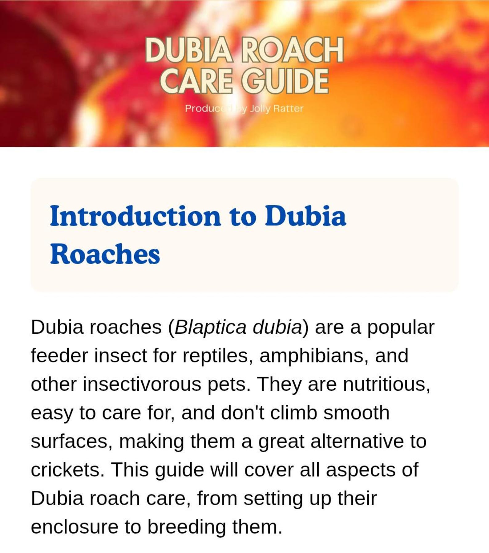 Curated visual reference: Visual Reference: Dubia Roach Care Guide