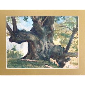 Peut inclure: Une peinture à l'aquarelle représentant un grand tronc d'arbre noueux à l'écorce grise et brune texturée, sur un fond de feuillage vert et un ciel bleu pâle. L'œuvre est montée sur un passe-partout beige et porte une signature dans le coin.