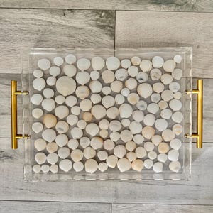 Puede incluir: Una bandeja de servicio de acrílico transparente llena de numerosas conchas blancas. La bandeja tiene asas doradas a cada lado. Las conchas son de varios tamaños y formas, creando una superficie texturizada. Es un artículo decorativo.