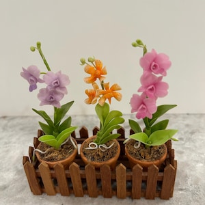 May include: Miniature potted orchids in a wooden planter. The orchids have purple, orange, and pink flowers with green leaves. The planter is made of brown wood and has a fence-like design.