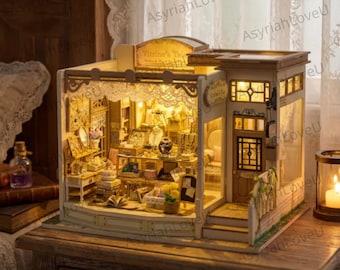 Kit per angolo lettura fai-da-te di Vitrine's Tale, diorama in miniatura di una gioielleria, casa puzzle in legno 3D, kit creativo per adulti, inserto decorativo per libreria vintage