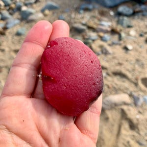 Può includere: Un pezzo di vetro marino rosso liscio, tenuto in una mano. La pietra ha una forma arrotondata e una superficie strutturata. Il colore è un rosso intenso e ricco, con un bordo leggermente più scuro. Lo sfondo è una spiaggia sabbiosa con piccole rocce.