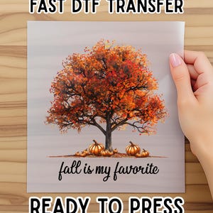 May include: A square DTF transfer sheet featuring a large tree with vibrant orange and red autumn leaves. Several orange pumpkins are arranged at the base of the tree. The text "fall is my favorite" is printed in black below the tree.