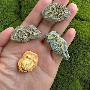 Op de afbeelding: Vier kleine decoratieve stenen met verhoogde, goudkleurige fossiele skeletten van prehistorische wezens. Drie stenen zijn grijs met gouden details en één steen is oranje met een goudkleurig trilobiet fossielreliëf op het oppervlak.