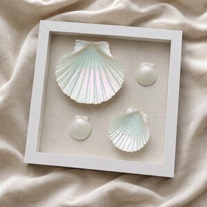 Iridescent Shell Shadow Box Art- Coastal Beach Wall Decor- 10x10 Framed Seashell Art- Neutral Coastal Nursery- Handmade Shell Artwork