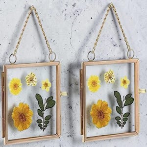 May include: Two rectangular floating frames with thin metallic gold edges and matching gold chains for hanging. Each frame contains pressed yellow flowers and green leaves preserved between two clear glass panes, creating a botanical display.