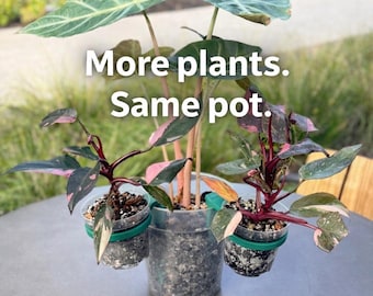 Plant Pot Insert | Space Saver for More Plants, Indoor Accessory Upgrade