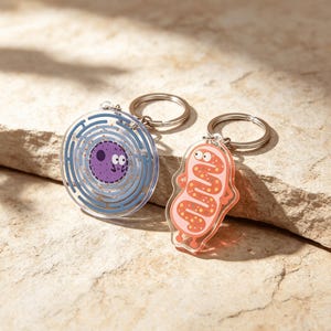 May include: Two clear acrylic keyrings. One is round with a blue maze design and a purple cell with a face. The other is a pink, cartoon-like cell shape with orange details. Both have silver key rings.