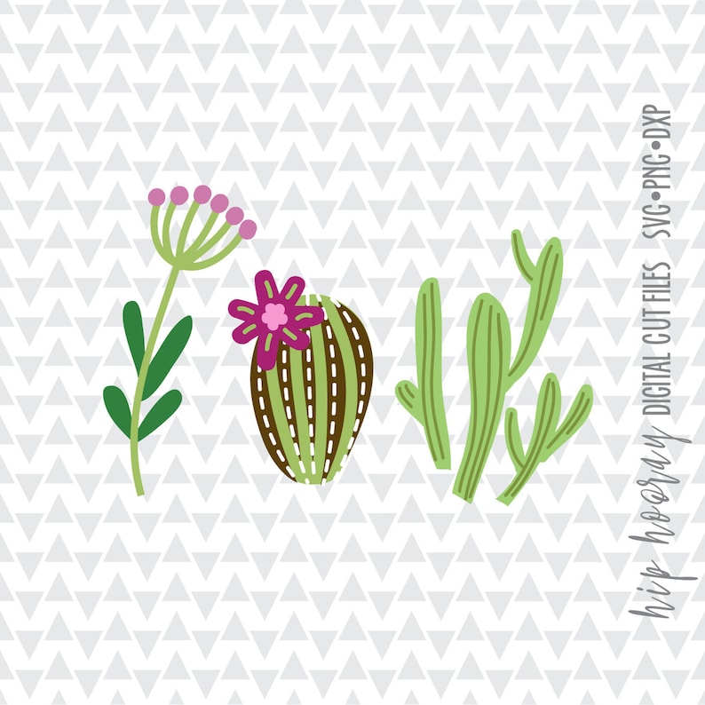 Free Free 125 Cactus Flower Svg Free SVG PNG EPS DXF File