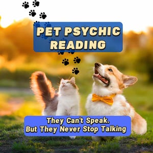 May include: An image with a cat and a dog in a grassy field. The dog wears a yellow bow tie. Text reads "Pet Psychic Reading" and "They Can't Speak. But They Never Stop Talking."