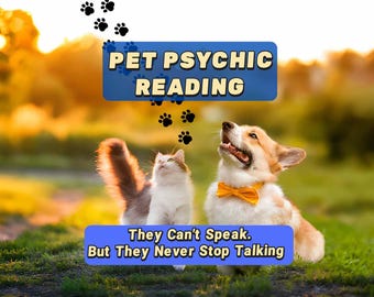 Haustier-Psychische Lesung am selben Tag, Tierkontakt-Tarot, Hund Katze Intuitive Einsicht, Spirituelle Haustier-Führung