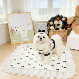 Puede incluir: Un perro pequeño y blanco con pelo largo lleva un suéter con rayas negras y marrones y un lazo negro. El perro está sobre una alfombra blanca con lazos negros y un ribete de encaje. Una imagen enmarcada de perros está en el fondo.