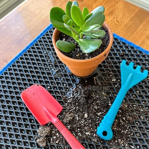May include: A small terracotta pot with a green succulent plant sits on a black mat. A red trowel and a blue rake are next to the pot, with soil scattered around. Gardening tools.