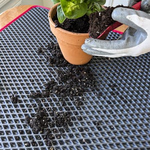 May include: A terracotta pot with a green plant is being repotted. Dark soil is being added to the pot. The pot sits on a gray, textured mat with a red border. A gloved hand is holding a small red trowel.
