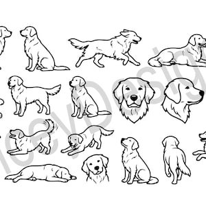 Peut inclure: Ensemble d'illustrations en noir et blanc de Golden Retrievers dans diverses poses. Les images incluent des chiens debout, assis, courant et couchés, ainsi que des portraits. Idéal pour des projets de design et d'art.