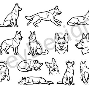 Pode incluir: Uma coleção de ilustrações em preto e branco de pastores alemães em várias poses. As imagens incluem vistas de corpo inteiro, close-ups e cães em movimento, como correr e saltar. O estilo é limpo e gráfico.