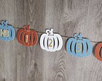 Pumpkin Photo Banner, Boy Pumpkin Banner, Fall First Birthday Banner, Blue Orange White Pumpkins, Monthly, Boy Birthday, Little Pumpkin