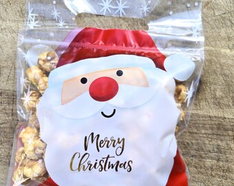 Santa Treat Bags, Santa Favor Bags for Christmas Party, SET OF 12 Bags