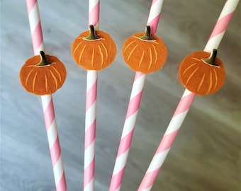 Pink Pumpkin Straws, Little Pumpkin Decorations, Pumpkin Party Straws, Girl, Lil Pumpkin Birthday, Fall, assembled, SET OF 12 Straws