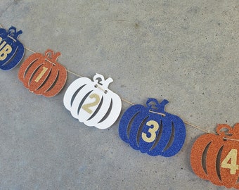 Pumpkin Photo Banner, Boy Pumpkin Banner, Fall First Birthday Banner, Navy Blue Orange White Pumpkins, Monthly, Boy Birthday, Little Pumpkin