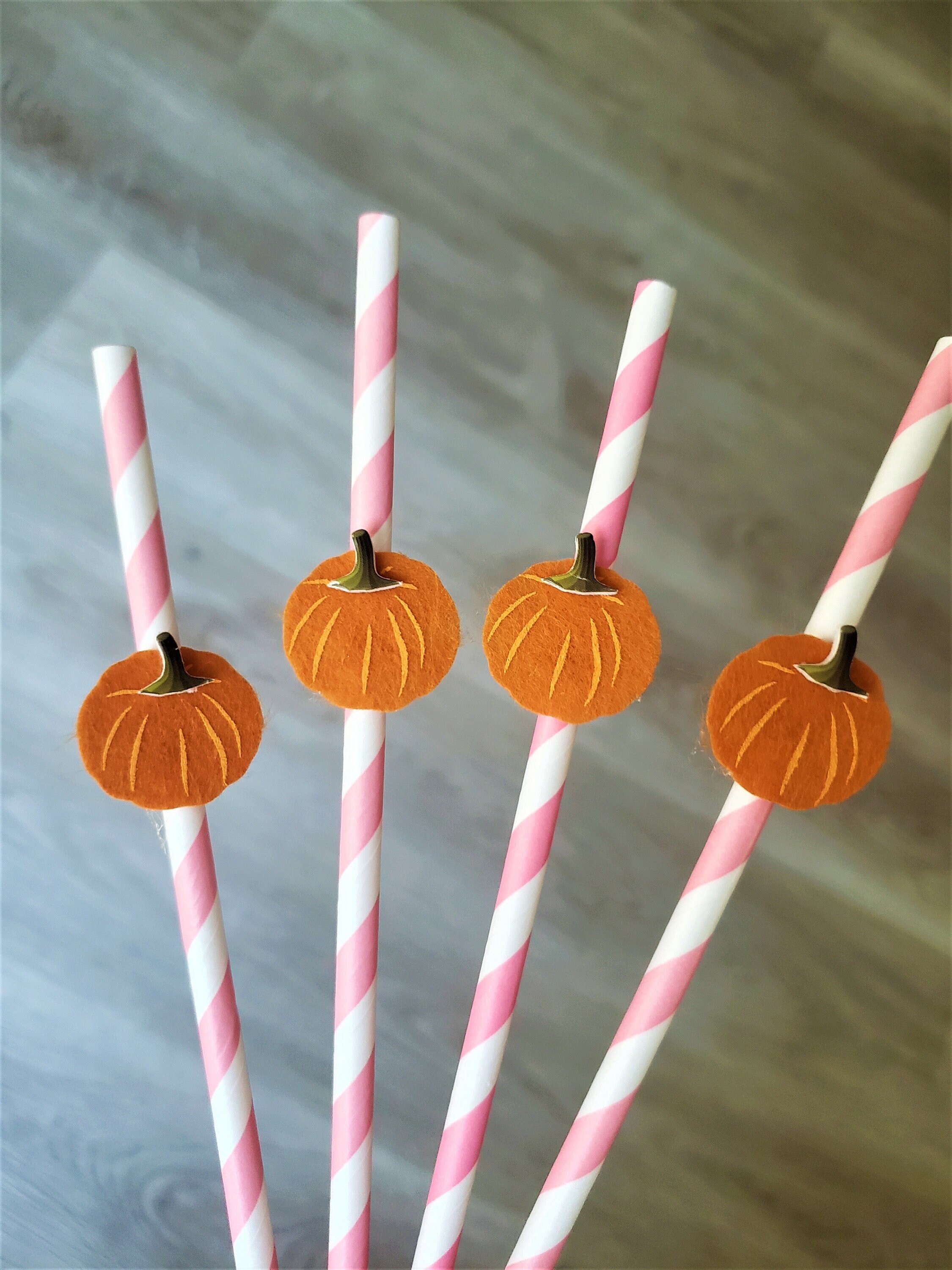 Pink & Orange Pumpkins Reusable Straws