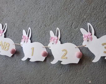 Bunny Photo Banner Monthly Photos First Birthday Party Decoration Bunny Theme Girl Birthday Milestone Display Baby Pictures White Bunny Pink