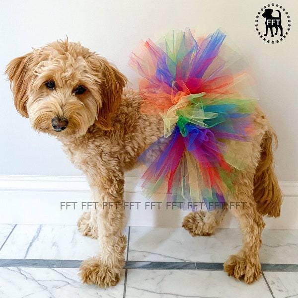 Dog, Cat, Birthday, Gotcha Day, Rainbow tutu