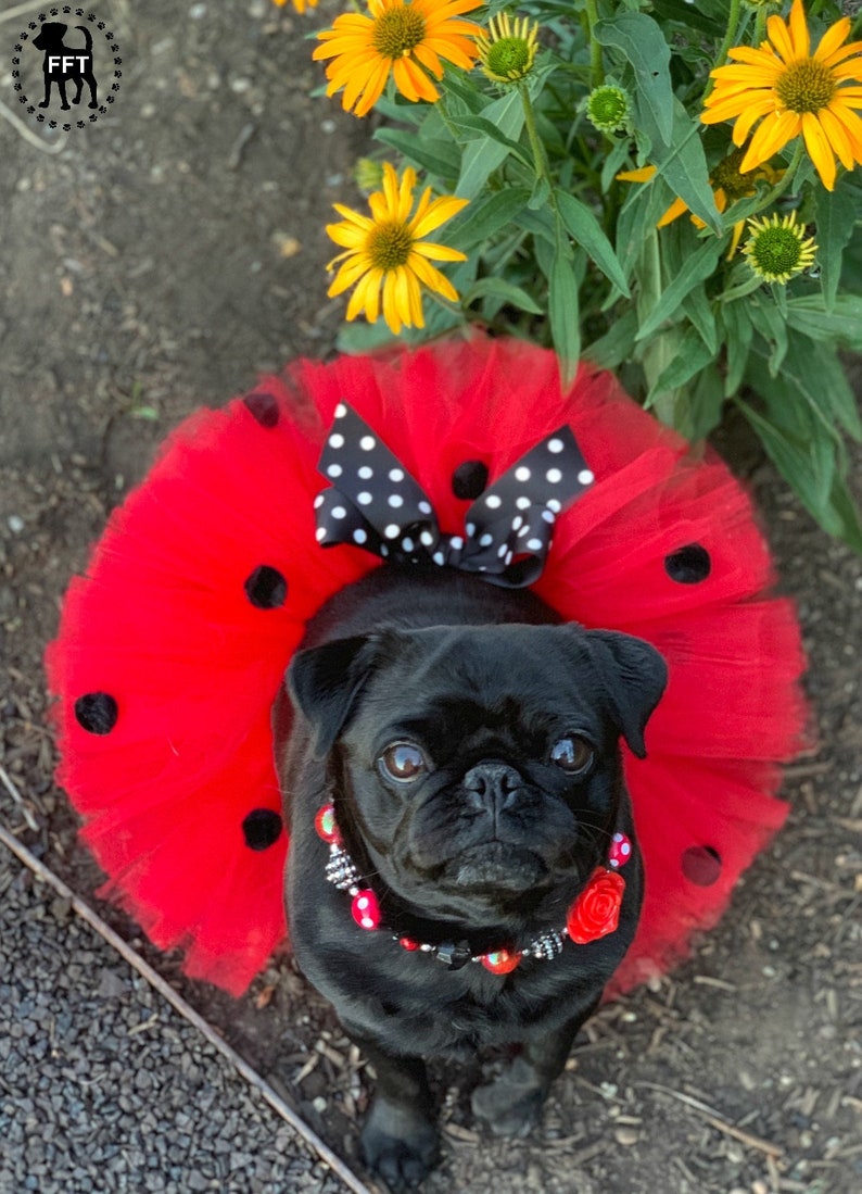 Dog tutu Costume Ladybug | Etsy