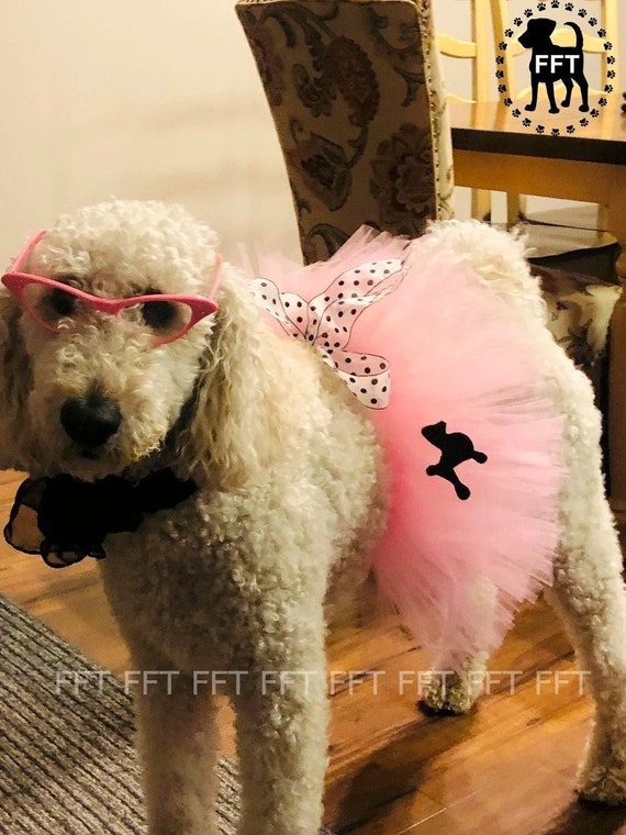 Dog Costume Poodle Skirt Halloween Etsy