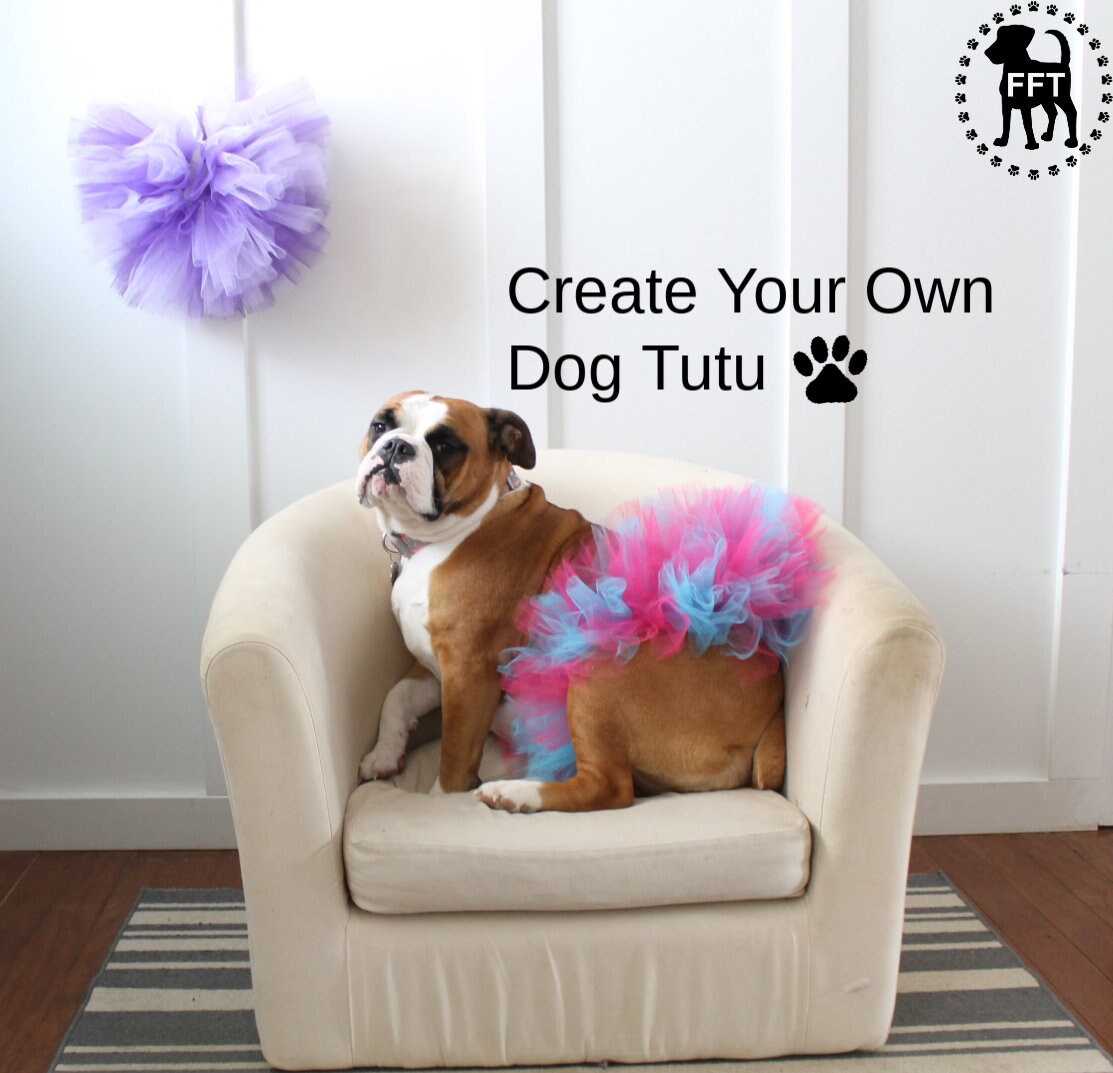 dog birthday tutu