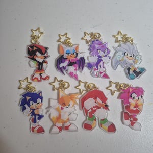 May include: A collection of eight character keychains featuring designs from the Sonic the Hedgehog franchise. Each keychain has a gold star-shaped clasp. The characters include Sonic, Tails, Knuckles, Amy, Shadow, Rouge, Blaze, and Silver.