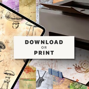Snail and Mushroom Digital Paper Pack, Scrapbooking, Printable Scrapbook Paper, A4 and US Letter, Instant Download 画像 2
