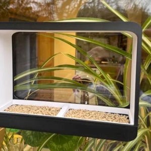 Modern Window Bird Feeder – Clear View Adhesive Mounted, Black White Station
