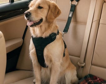 Imbracatura di sicurezza per cani da auto | Imbracatura da viaggio regolabile per viaggi sicuri e confortevoli con il tuo animale domestico