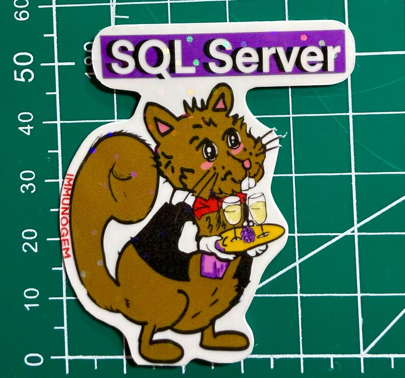 Puede incluir: Una pegatina con una ardilla de dibujos animados sosteniendo una bandeja con dos copas de champ&aacute;n y uvas. La pegatina tiene el texto "SQL Server" en blanco sobre un fondo morado. La ardilla es marr&oacute;n, con chaleco negro y pajarita roja.