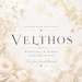 Velthos store logo