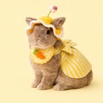 Rabbit Clothing