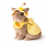 Rabbit Clothing