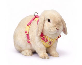 Harnais en peluche anti-fuite pour lapin - Gilet de lapin réglable en maille douce pour petits animaux