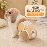 Rabbit Clothing