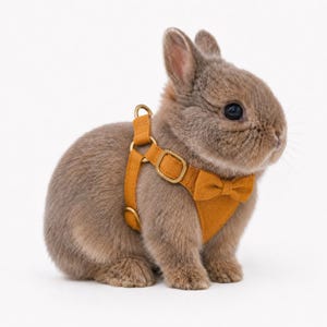 May include: A small brown rabbit wearing a mustard yellow harness with a matching bow tie. The harness features gold-toned metal buckles and rings, with a structured chest piece that secures around the torso of the animal.