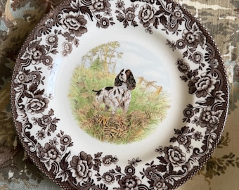 Vintage Spode Springer Spaniel Plate, Transferware, Dogs